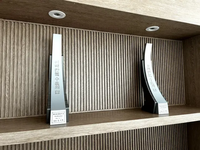 Tower Of Expert Award